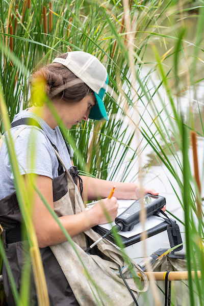 Student taking measurements in a pond