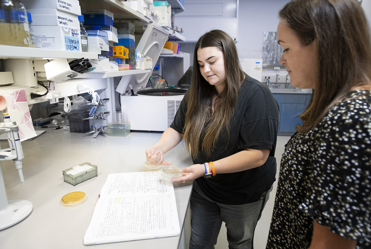 Students in research lab